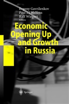 Evgeny Gavrilenkov, Pau J J Welfens, Paul J J Welfens, Paul J. J. Welfens, Paul J.J. Welfens, Ralf Wiegert - Economic Opening Up and Growth in Russia