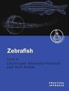 NUSSLEIN VOLHARD CHRISTIANE DAHM, Christiane Nusslein-Volhard, Christiane (Department of Geneti Nusslein-Volhard, Christiane Dahm Nusslein-Volhard, Ralf Dahm, Dahm Ralf... - Zebrafish
