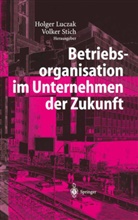 H. Luczak, Holge Luczak, Holger Luczak, Stich, Stich, Volker Stich - Betriebsorganisation im Unternehmen der Zukunft