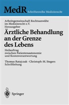 Arbeitsgemeinschaft, Arbeitsgemeinschaft Rechtsanwälte im Medizinrecht e.V., T. Ratajczak, Thoma Ratajczak, Thomas Ratajczak, C.M. Stegers... - Ärztliche Behandlung an der Grenze des Lebens