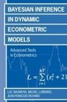 Luc Bauwens, Luc (Professor of Economics Bauwens, Luc Richard Bauwens, Bauwens Luc, BAUWENS LUC RICHARD JEAN FRANCOI, Michel Lubrano... - Bayesian Inference in Dynamic Econometric Models