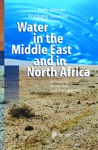 W. Jaeschke, Wolfgang Jaeschke, F. Zereini, Fathi Zereini, Wolfgang Jaeschke, Fathi Zereini - Water in the Middle East and in North Africa