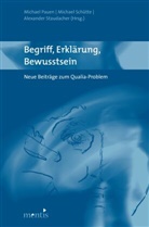 Michael Pauen, Michae Schütte, Michael Schütte, Alexander Staudacher - Begriff, Erklärung, Bewusstsein