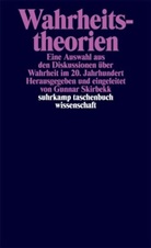 Gunna Skirbekk, Gunnar Skirbekk - Wahrheitstheorien