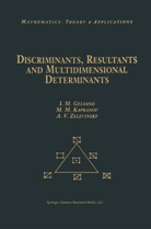 Gelfan, Israel Gelfand, Israel M Gelfand, Israel M. Gelfand, Izrail M. Gelfand, Kaprano... - Discriminants, Resultants, and Multidimensional Determinants