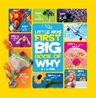 Susan Magsamen, Susan H. Magsamen, Amy Shields - Big Book of Why