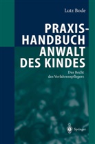 Lutz Bode - Praxishandbuch Anwalt des Kindes
