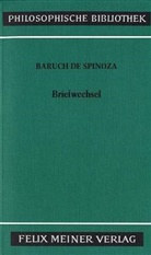 Baruch de Spinoza, Benedictus (Baruch) de Spinoza, Benedictus de Spinoza - Sämtliche Werke - Bd.6: Briefwechsel