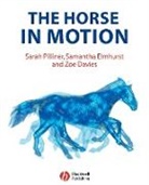 Davies, Zoe Davies, Elmhurst, Samantha Elmhurst, Elmhurst Samantha, Pilliner... - The Horse in Motion