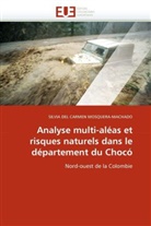 Silvia Del Carmen Mosquera-Machado, Mosqueramachado-S - Analyse multi aleas et risques