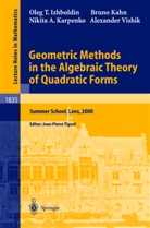 Oleg Izhboldin, Oleg T Izhboldin, Oleg T. Izhboldin, Brun Kahn, Bruno Kahn, Nikita A e Karpenko... - Geometric Methods in the Algebraic Theory of Quadratic Forms