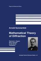 R. J. Nagem, G. Sandri, Arnold Sommerfeld, M. Zampolli - Mathematical Theory of Diffraction