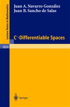 Juan A. Navarro Gonzalez, Juan B. Navarro Gonzalez, Juan Navarro González, Juan A Navarro González, Juan A. Navarro González, Juan B Sancho de Salas... - C-Infinity-Differentiable Spaces