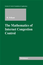 Rayadurgam Srikant - The Mathematics of Internet Congestion Control