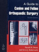 Steve Butterworth, Steven J. Butterworth, Butterworth Steve, DENNY, H. R. Denny, Hamish Denny... - Guide to Canine and Feline Orthopaedic Surgery