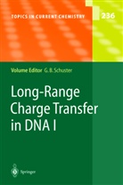 Gar B Schuster, Gary B Schuster, Gary B. Schuster - Long-Range Charge Transfer in DNA I. Pt.1