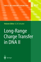 Gar B Schuster, Gary B Schuster, Gary B. Schuster - Long-Range Charge Transfer in DNA II. Pt.2