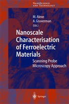 M. Alexe, Mari Alexe, Marin Alexe, Gruverman, Gruverman, A. Gruverman... - Nanoscale Characterisation of Ferroelectric Materials