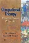 Suzanne Peloquin, Suzanne M. Peloquin, Alice Punwar, Alice J. Punwar, Alice J. Peloquin Punwar, PUNWAR ALICE J PELOQUIN SUZANNE - Occupational Therapy