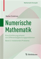 Walter Zulehner - Numerische Mathematik - 2: Instationäre Probleme