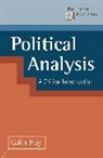 Colin Hay - Political Analysis