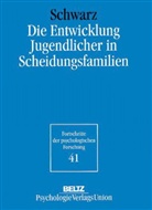 Beate Schwarz - Die Entwicklung Jugendlicher in Scheidungsfamilien