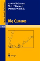 A. Ganesh, Ayalvadi Ganesh, Ayalvadi J Ganesh, Ayalvadi J. Ganesh, N. O'Connell, Nei O'Connell... - Big Queues