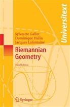 Sylvestr Gallot, Sylvestre Gallot, Dominiqu Hulin, Dominique Hulin, Jac Lafontaine, Jacques Lafontaine - Riemannian Geometry