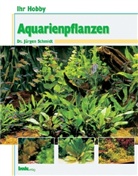 Jürgen Schmidt - Aquarienpflanzen