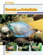Jürgen Schmidt - Ihr Hobby Guramis und Fadenfische