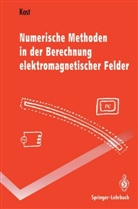 Arnulf Kost - Numerische Methoden in der Berechnung elektromagnetischer Felder