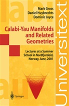 M. W. Gross, Mar Gross, Mark Gross, D. Huybrechts, Danie Huybrechts, Daniel Huybrechts... - Calabi-Yau Manifolds and Related Geometries