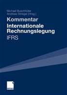 Michae Buschhüter, Michael Buschhüter, Striegel, Andreas Striegel - Internationale Rechnungslegung - IFRS, Kommentar