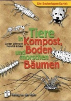 Jürge Dittmann, Jürgen Dittmann, Heinrich Köster - Die Becherlupen-Kartei: Tiere in Kompost, Boden und morschen Bäumen