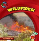 Cecilia Minden - Wildfires!
