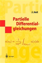 Jürgen Jost - Partielle Differentialgleichungen