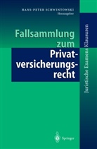Hans-Pete Schwintowski, Hans-Peter Schwintowski - Fallsammlung zum Privatversicherungsrecht