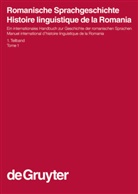 Gerhard Ernst, Martin-Dietrich Gleßgen, Christian Schmitt, Christian Schmitt u a, Wolfgang Schweickard - Romanische Sprachgeschichte / Histoire linguistiqu - 1. Teilband: Romanische Sprachgeschichte / Histoire linguistique de la Romania. 1. Teilband. 1. Teilbd.