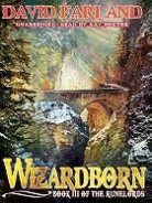 David Farland, Ray Porter - Wizardborn (Audio book)