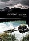 Bronson Pinchot, David Vann, Bronson Pinchot - Caribou Island Audio CD (Hörbuch)