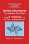 James C. Robinson, James C. (University of Warwick) Robinson - Infinite-Dimensional Dynamical Systems