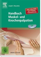 Joseph E. Muscolino - Handbuch Muskel-und Knochenpalpation, m. 2 DVDs