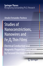 Amalio Fernandez-Pacheco - Studies of Nanoconstrictions, Nanowires and Fe3O4 Thin Films