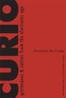 Elizabeth Bachinsky - Curio