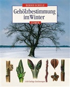 Bernd Schulz - Gehölzbestimmung im Winter