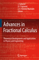 J A Tenreiro Machado, O. P. Agrawal, P Agrawal, O P Agrawal, J. Sabatier, J. A. Tenreiro Machado - Advances in Fractional Calculus
