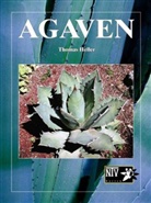 Thomas Heller - Agaven