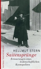 Hellmut Stern - Saitensprünge