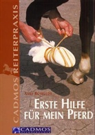 Anke Rüsbüldt - Erste Hilfe für mein Pferd