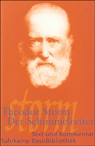 Theodor Storm - Der Schimmelreiter